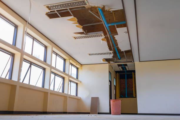Professional Water damage restoration in Allardt, TN