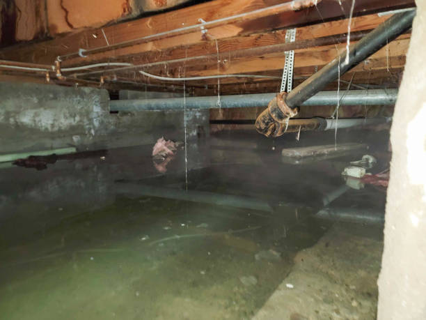 Best 24-hour water damage restoration  in Allardt, TN
