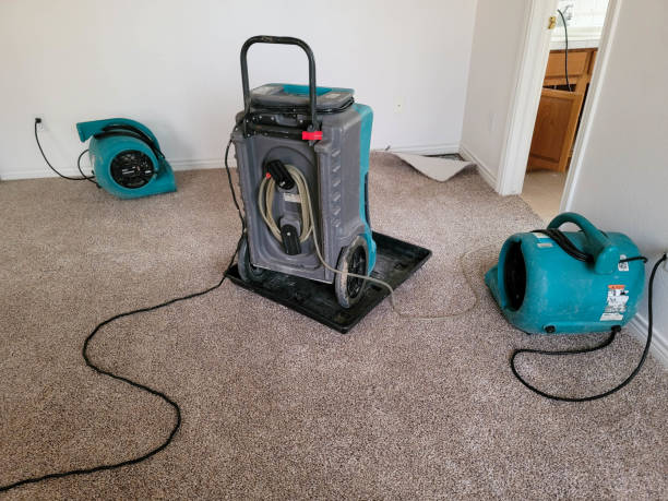 Best 24/7 water damage repair  in Allardt, TN