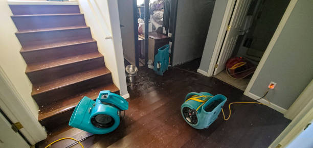 Best Water damage restoration cost  in Allardt, TN