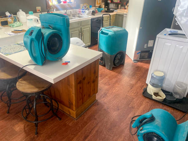 Best Basement water damage restoration  in Allardt, TN
