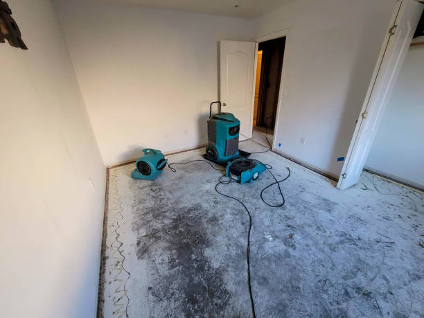 Best Mold removal after water damage  in Allardt, TN
