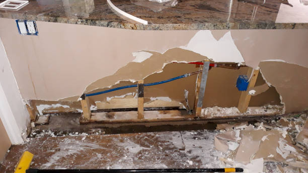 Best Ceiling water damage repair  in Allardt, TN