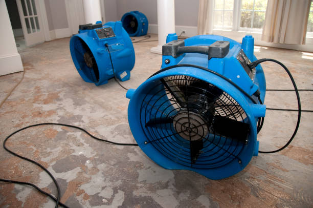 Water damage restoration mold remediation in Allardt, TN