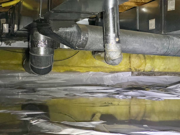 Best Fire Damage Restoration  in Allardt, TN