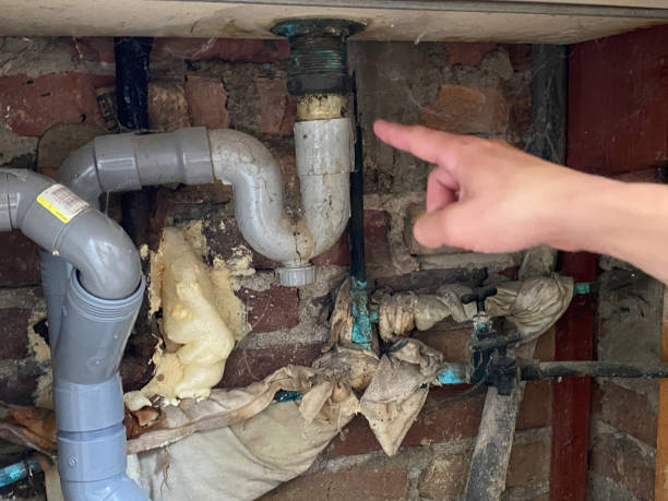 Best Professional water damage repair  in Allardt, TN