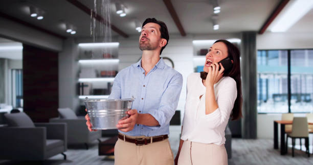 Best Professional water damage repair  in Allardt, TN
